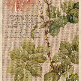 Vintage Burlap Floral 4 by Debbie DeWitt