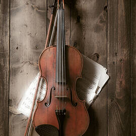 Violin by Garry Gay