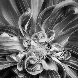 Vortex by Mary Jo Allen