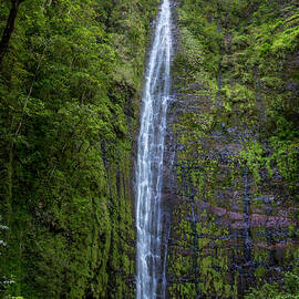 Waimoku Falls by Kelley King