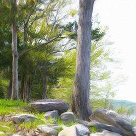 Waiting Ashore by Jeffrey Kolker