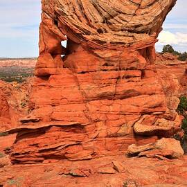 Warrior In The Desert by Adam Jewell