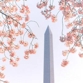 Washington Monument Spring Celebration  by Olivier Le Queinec