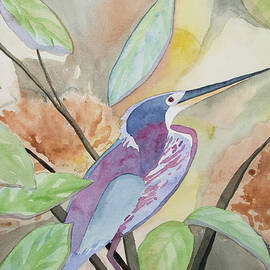 Watercolor - Agami Heron by Cascade Colors