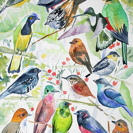 Watercolor - Birds of San Isidro by Cascade Colors