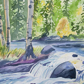Watercolor - Forest and Stream Landscape by Cascade Colors