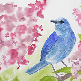 Watercolor - Mountain Bluebird by Cascade Colors