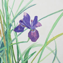 Watercolor - Purple Iris by Cascade Colors