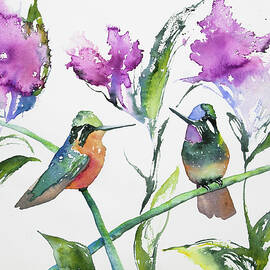 Watercolor - Purple-throated Mountain Gems and Flowers by Cascade Colors