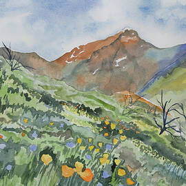 Watercolor - Springtime Above King's Canyon by Cascade Colors