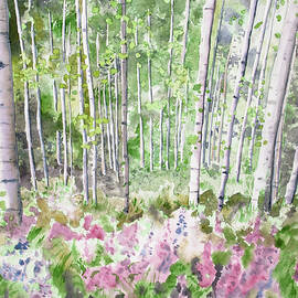 Watercolor - Summer Aspen Glade by Cascade Colors