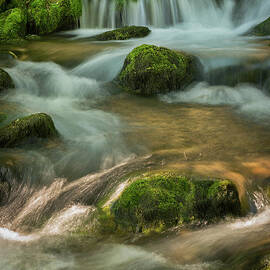 Waterfall. Fine Art Landscape by Jelena Jovanovic