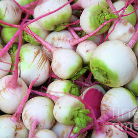 watermelon radish  by Bruce Block