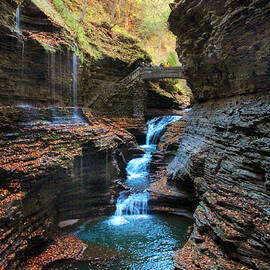 Watkins Glen by Jessica Jenney