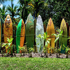 Waveless by Kelley King