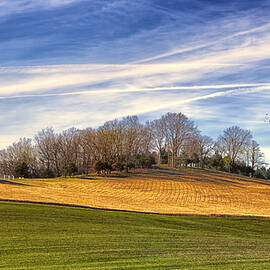 Waves of Earth and Sky by Bill and Linda Tiepelman