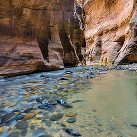 Way of the Virgin River by Adam Mateo Fierro
