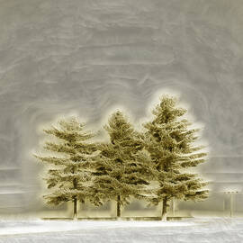 We Three Trees by Bill and Linda Tiepelman