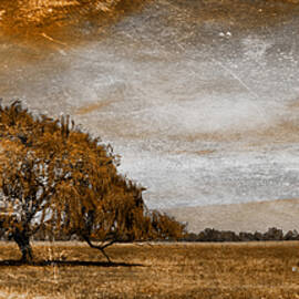 Weathered by Az Jackson