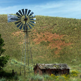 Weathered by Mary Jo Allen