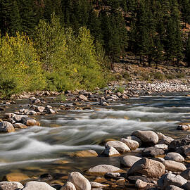 West Walker River by Kelley King
