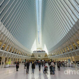 Westfield World Trade Center VII by Clarence Holmes