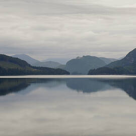 What, do you see? by David Shuler