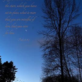 What Is Man by Mary Jo Allen