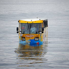 Where is the Bus Stop by Richard Reeve