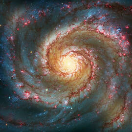 Whirlpool Galaxy  by Jennifer Rondinelli Reilly - Fine Art Photography