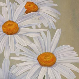 White Daisies by Angeles M Pomata