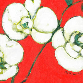 White Orchid by Jennifer Lommers