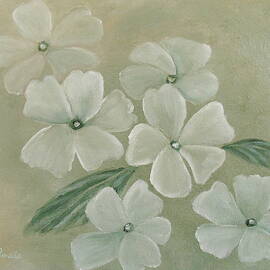 White Primula by Angeles M Pomata