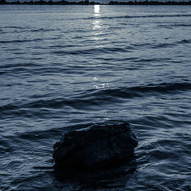 White Star by AM FineArtPrints