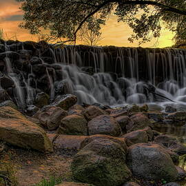 Whitnall Park Sunburst by Dale Kauzlaric