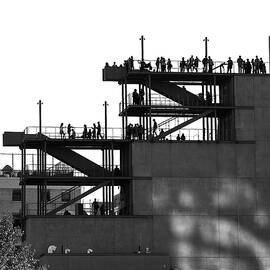 Whitney Silhouettes by Rona Black