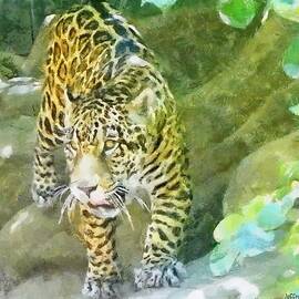 Wild in Spirit by Jeffrey Kolker