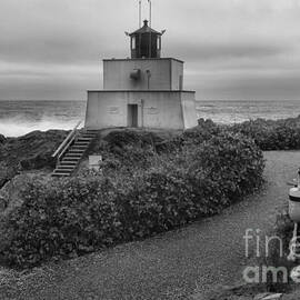 Wild Pacific Trail Black And White Lighthouse by Adam Jewell