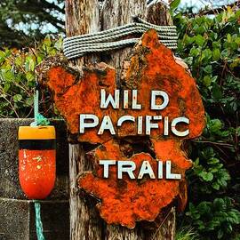 Wild Pacific Trail Sign by Adam Jewell