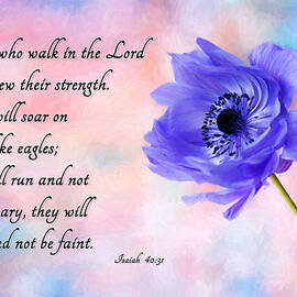 Wings Like Eagles by Mary Jo Allen