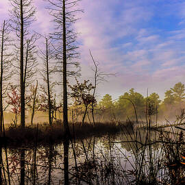 Winter at Quaker Bridge by Louis Dallara