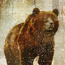Winter Game Bear by Mindy Sommers