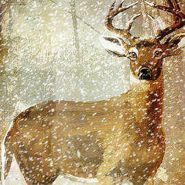 Winter Game Deer by Mindy Sommers