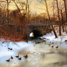 Winter Geese by Jessica Jenney