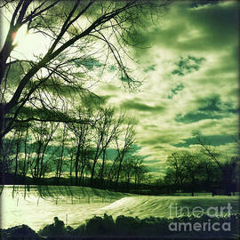 Winter Green by Onedayoneimage Photography