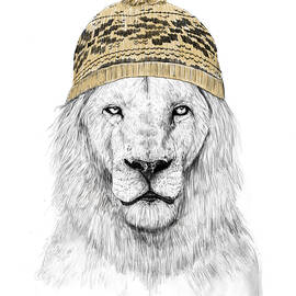 Winter lion