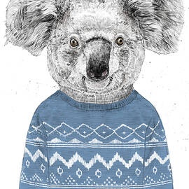 Winter koala by Balazs Solti