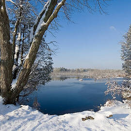 Winter Wonderland by Louis Dallara