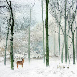 Winter Woodland by Jessica Jenney
