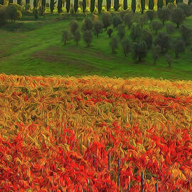 Wonderful Tuscany, Italy - 07  by AM FineArtPrints